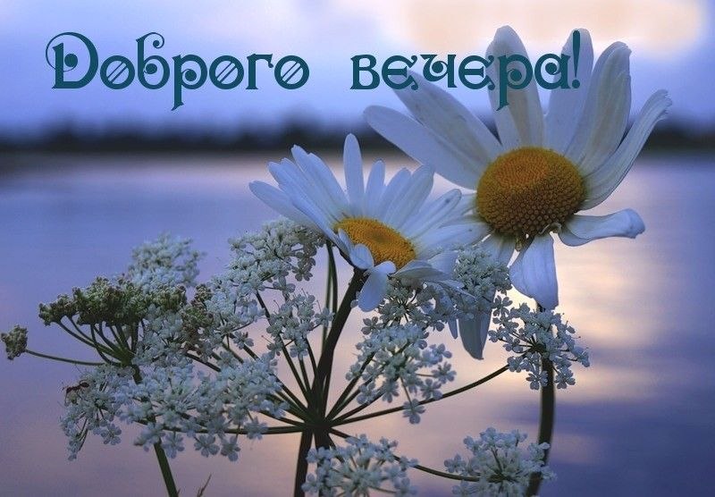   - 21  2025  18:18