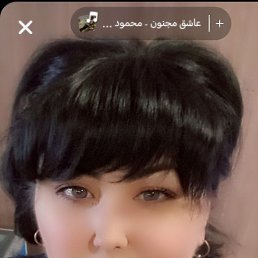 , 33, 