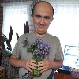  , 29, 