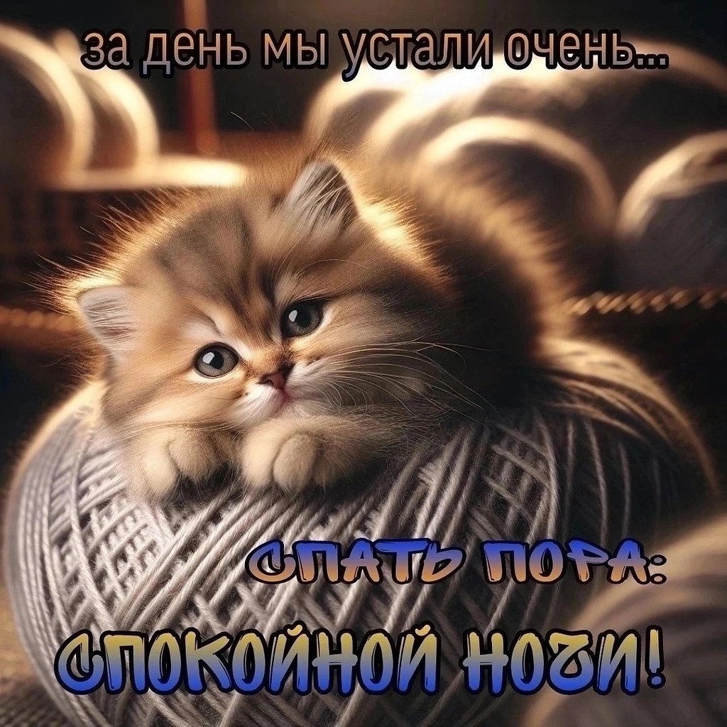   ,    . - 3  2025  22:04