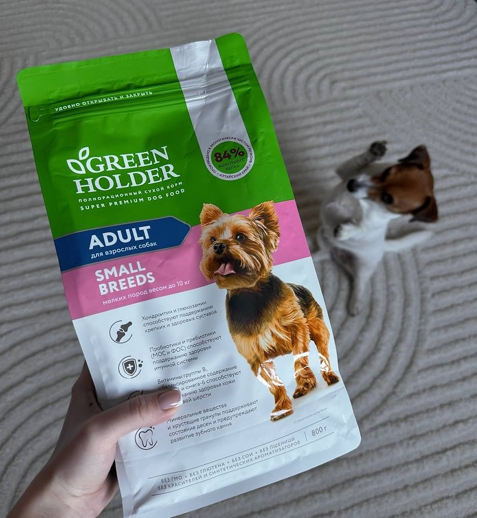 Green Holder       ! ,      ...