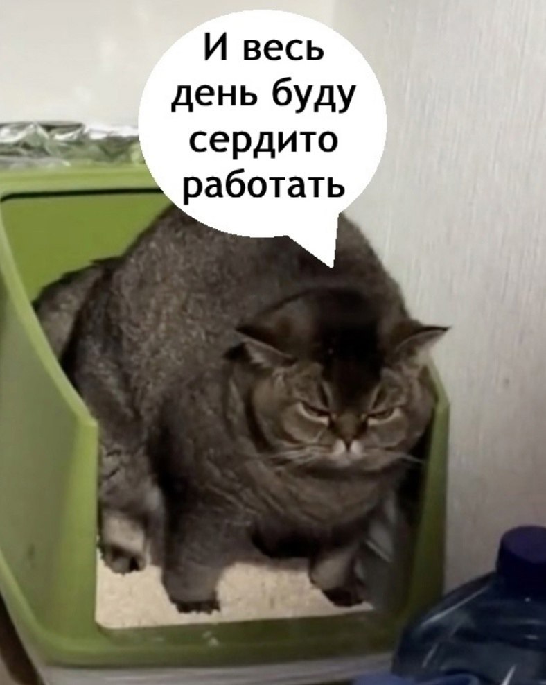  ,    ,       - 3
