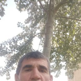, 53, 