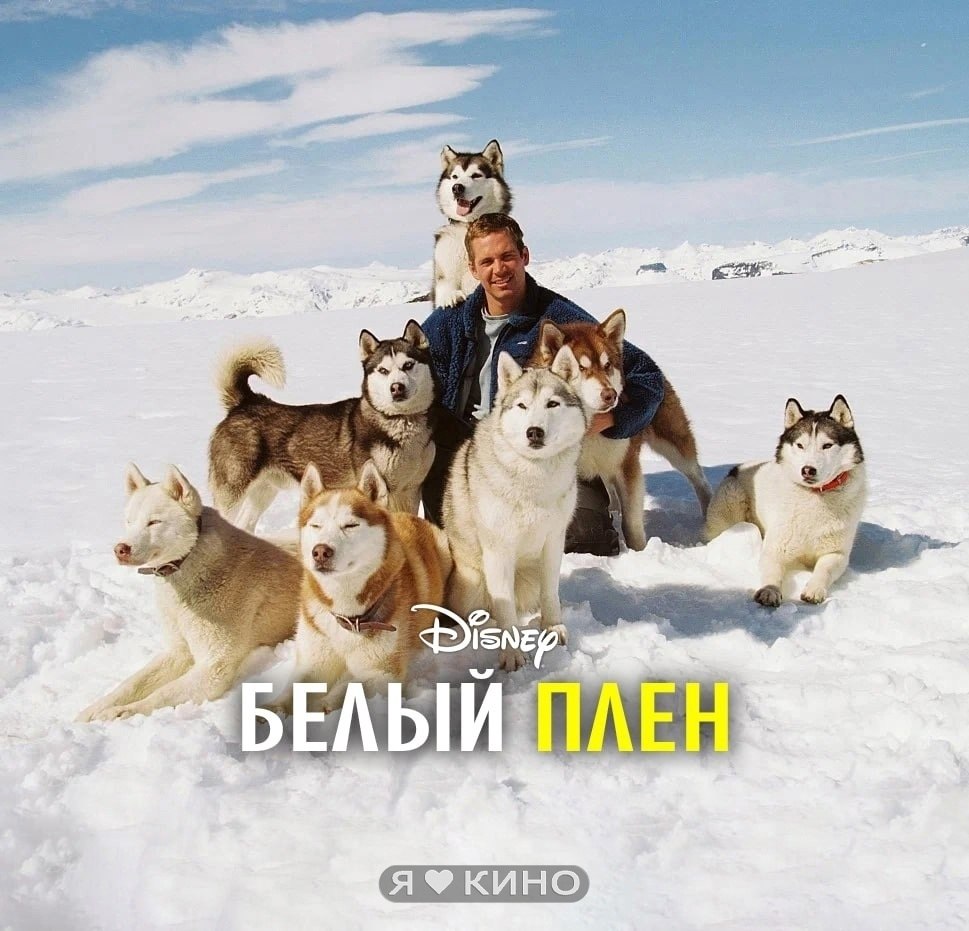 Бoбpа зa выживaние вocьмерыx Xаски в cнeжнoм плeну.Бeлый плeн (2005) 12+Жaнр: драма, приключения, ...