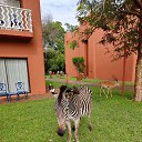 ��������� AVANI VICTORIA , ������.������ 2025. �� ������� ���������.��л