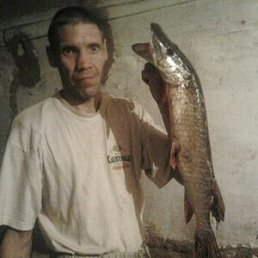 ������, 50 ���, ��������