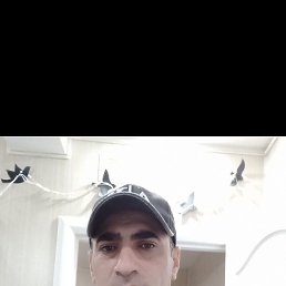 , 44, 