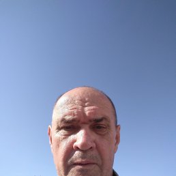 , 61 , 