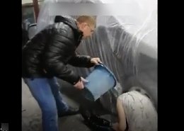 �����������