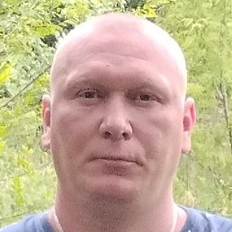 ������, ������, 43 ����