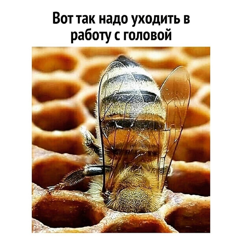   - 5  2023  10:36