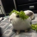 ���� ������, ������, 31 ��� - ��������� 5 ������ 2025 � ������ ������ ��������