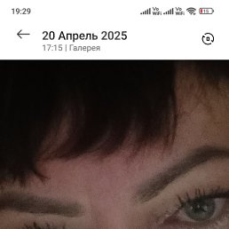 , 52, 