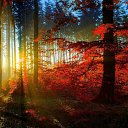 ���� �������, ���������, 49 ��� - ��������� 29 ������ 2026 � ������ ���� ����������