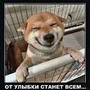���� Sergey, ������, 71 ��� - ��������� 6 ���� 2026