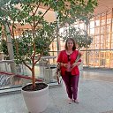 ���� �����, ����������, 58 ��� - ��������� 26 ��� 2024 � ������ ���� ����������