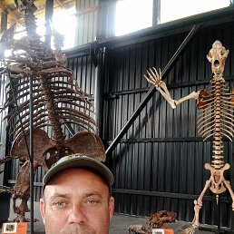 , 47 , 