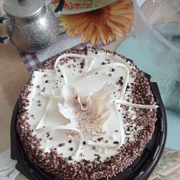 ���� �������, ���������� ����� - ��������� 16 ������ 2026