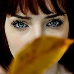 ����, �������, 53 ����