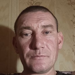 �������, ������, 40 ���