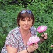 �������, 67 ���, ���������