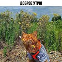 ���� ����, ����, 39 ��� - ��������� 25 ������ 2026 � ������ ������ ��������