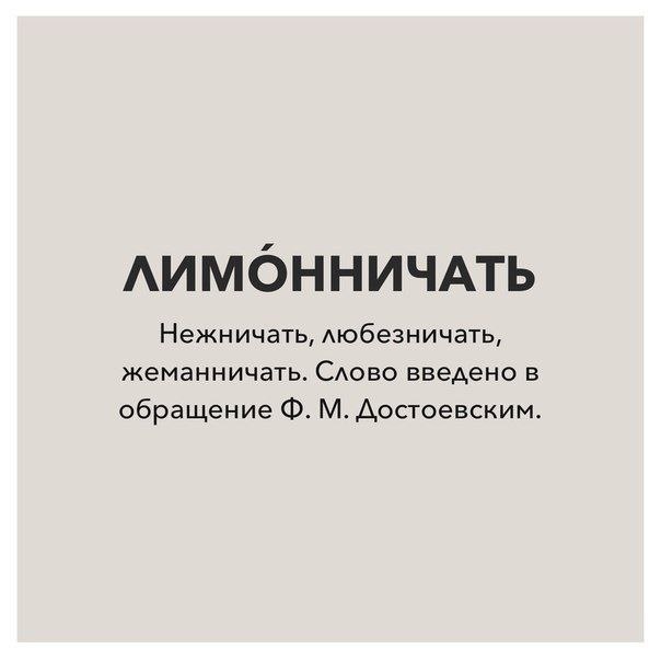   - 8  2025  20:51