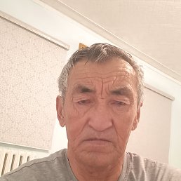 , 65, 