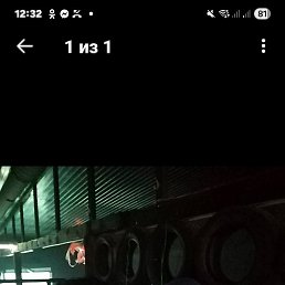 �����, ����-���������, 39 ���