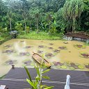 ���� ������, ����-��������� - ��������� 6 ��� 2025 � ������ ���� ����������