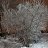 ���� Alexsandr T, �����, 51 ��� - ��������� 20 ���� 2026