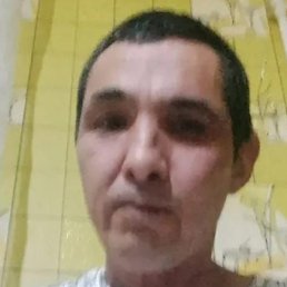 �����, ������, 49 ���