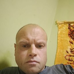 ˸ , 37, 