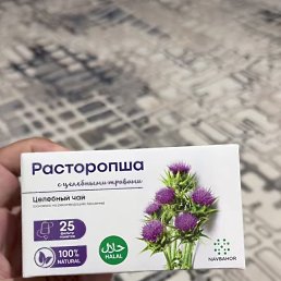 ���� �����, ������, 41 ��� - ��������� 19 ���� 2026