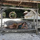 ���� ��������, ������-��-����, 61 ��� - ��������� 20 �������� 2024 � ������ ���� ����������