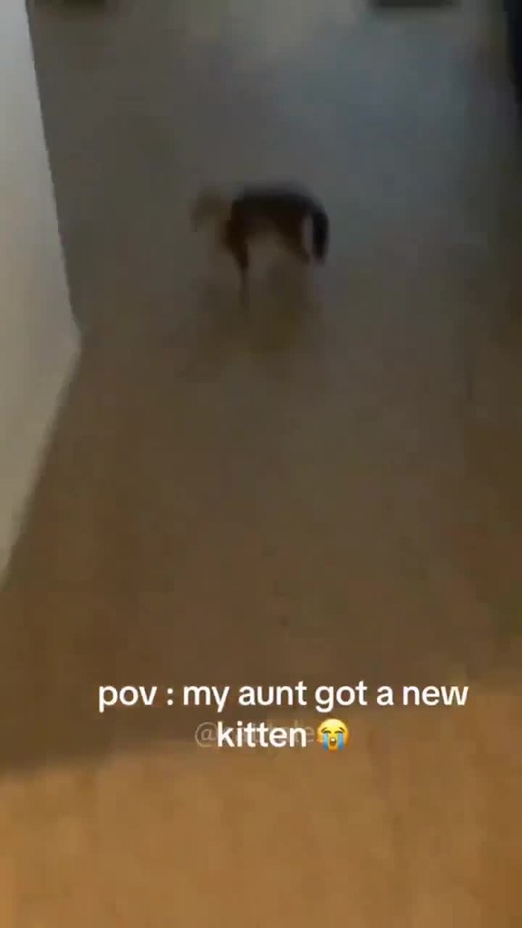 ����� ��������� �� ����� �� ��� ����� ������ - 2