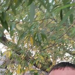 �������, �����-���������, 47 ���