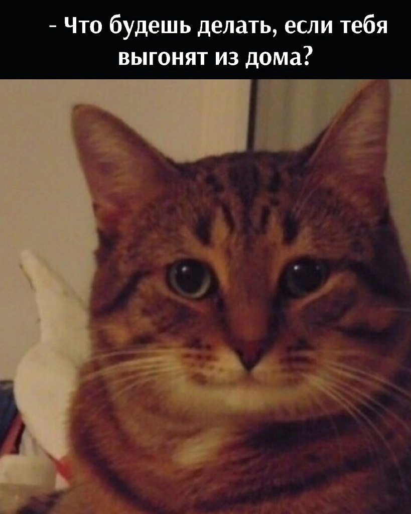      - 12  2025  20:14
