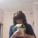  Oxi, , 42  -  14  2024   