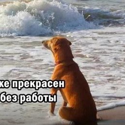 ���� ����, ������ - ��������� 27 ������� 2025