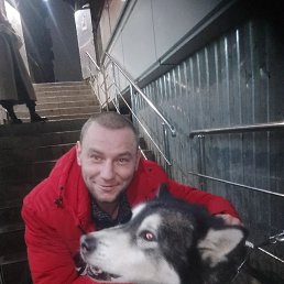 ���� ������, ����, 33 ���� - ��������� 2 ������� 2023