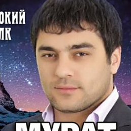 ���, ���������, 41 ���