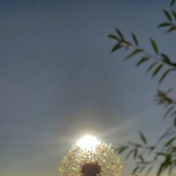 , , 22 