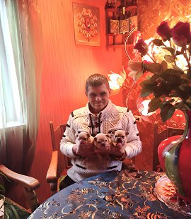 Sergei ����, , �����