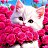 ���� Zaliya, ���, 70 ��� - ��������� 4 ���� 2026