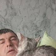 , 48 , -