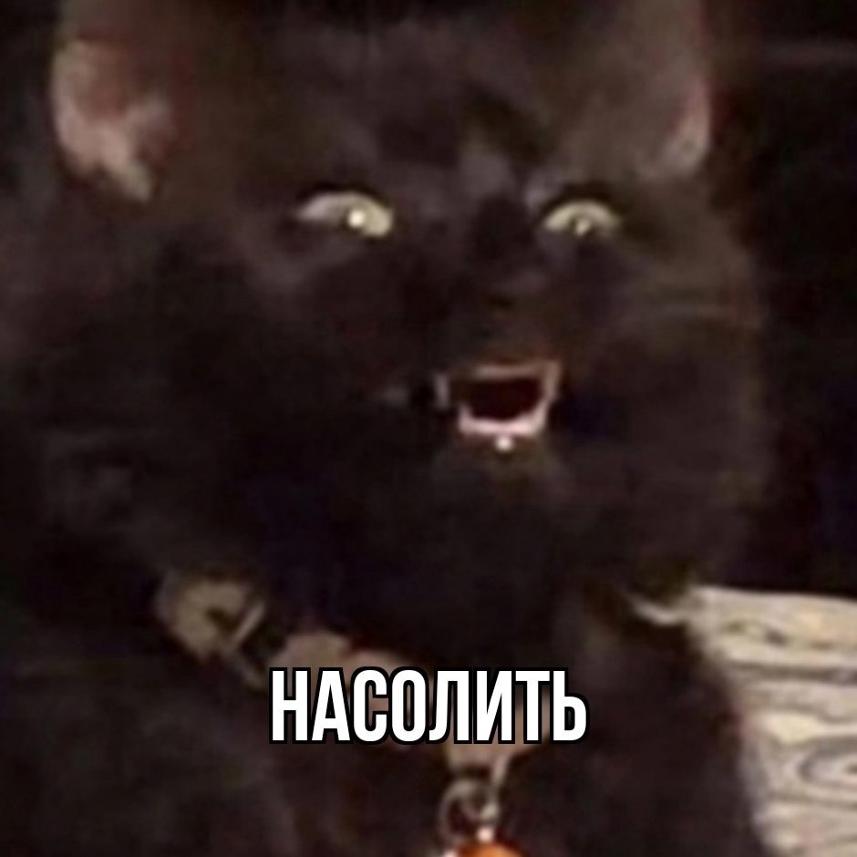   -  ,  -  - 16  2025  09:29 - 4