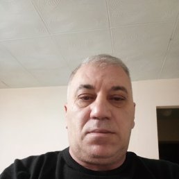 , 56, 