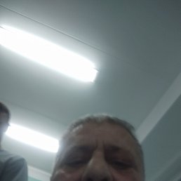 , 62, 