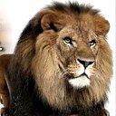 ���� Nata2-vv, ������, 43 ���� - ��������� 26 ������� 2024 � ������ ���� ����������